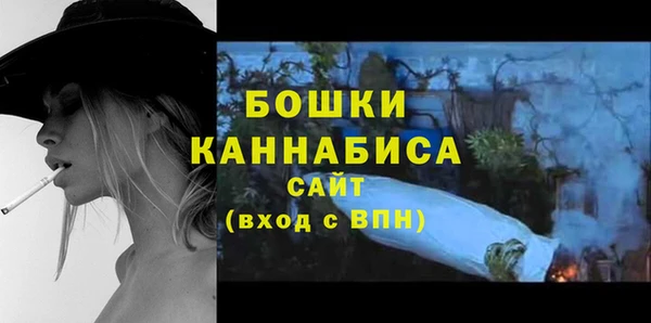 ALPHA PVP Осинники