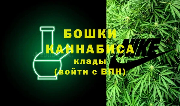 ALPHA PVP Осинники