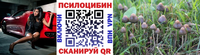 Псилоцибиновые грибы прущие грибы  что такое   Колпашево 